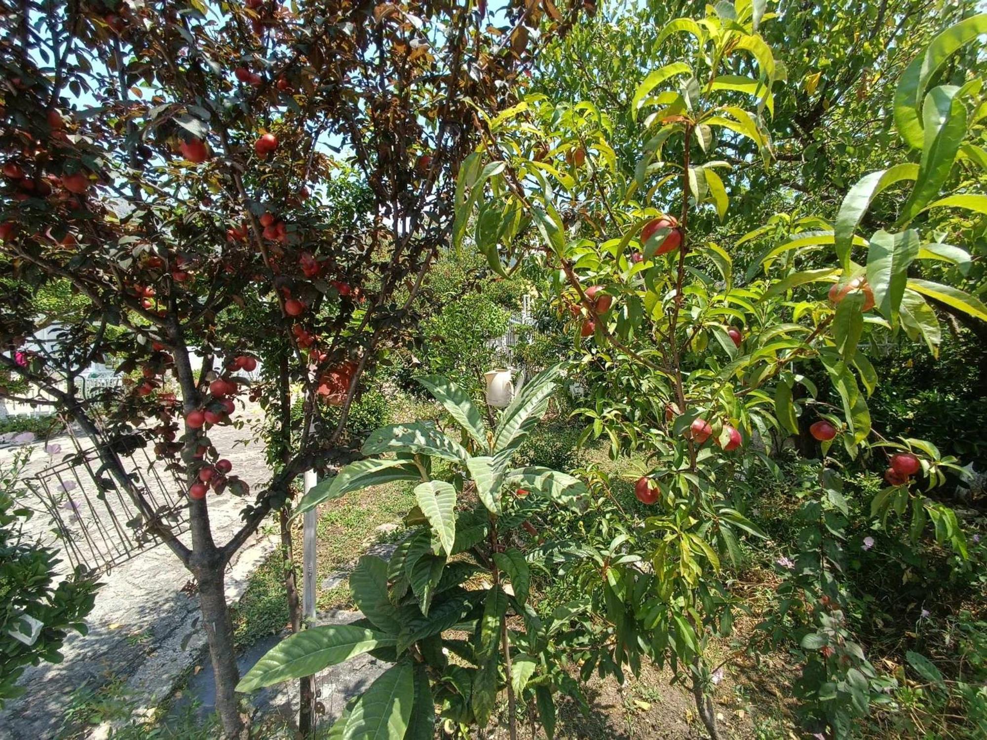 Irene'S Home 伊古迈尼察 外观 照片